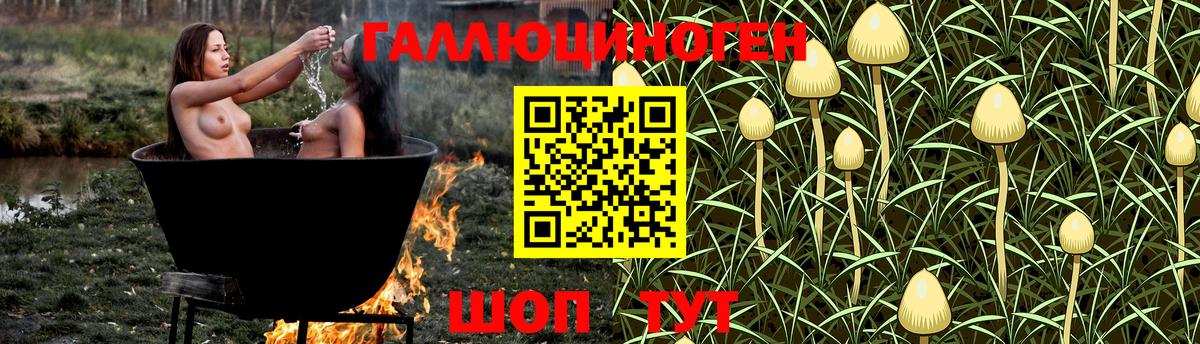 Псилоцибиновые грибы Psilocybine cubensis Сатка