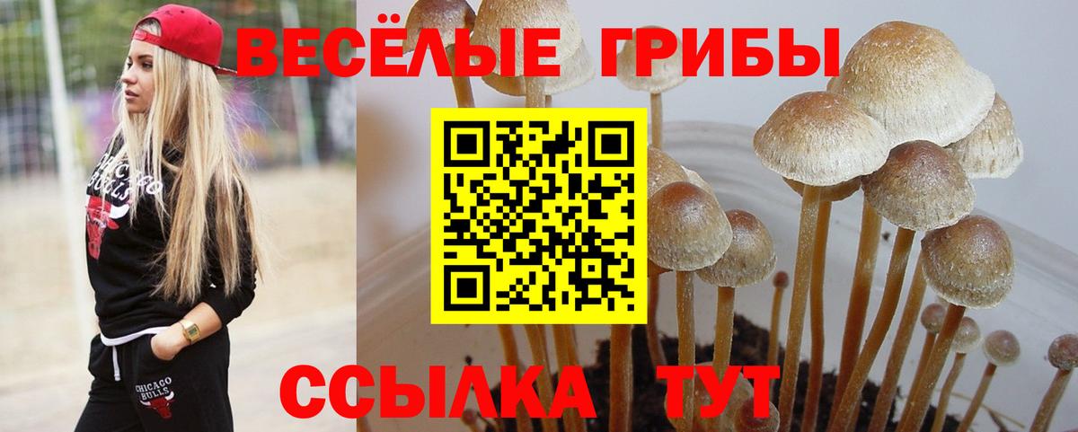 Сатка  Галлюциногенные грибы мицелий  Вход с VPN 